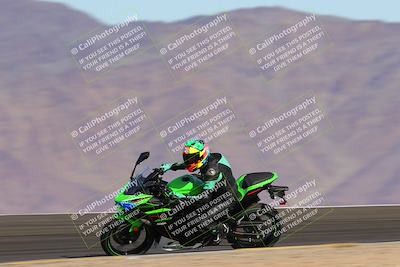 media/Dec-17-2022-SoCal Trackdays (Sat) [[224abd9271]]/Turn 12 Inside Distant (1025am)/